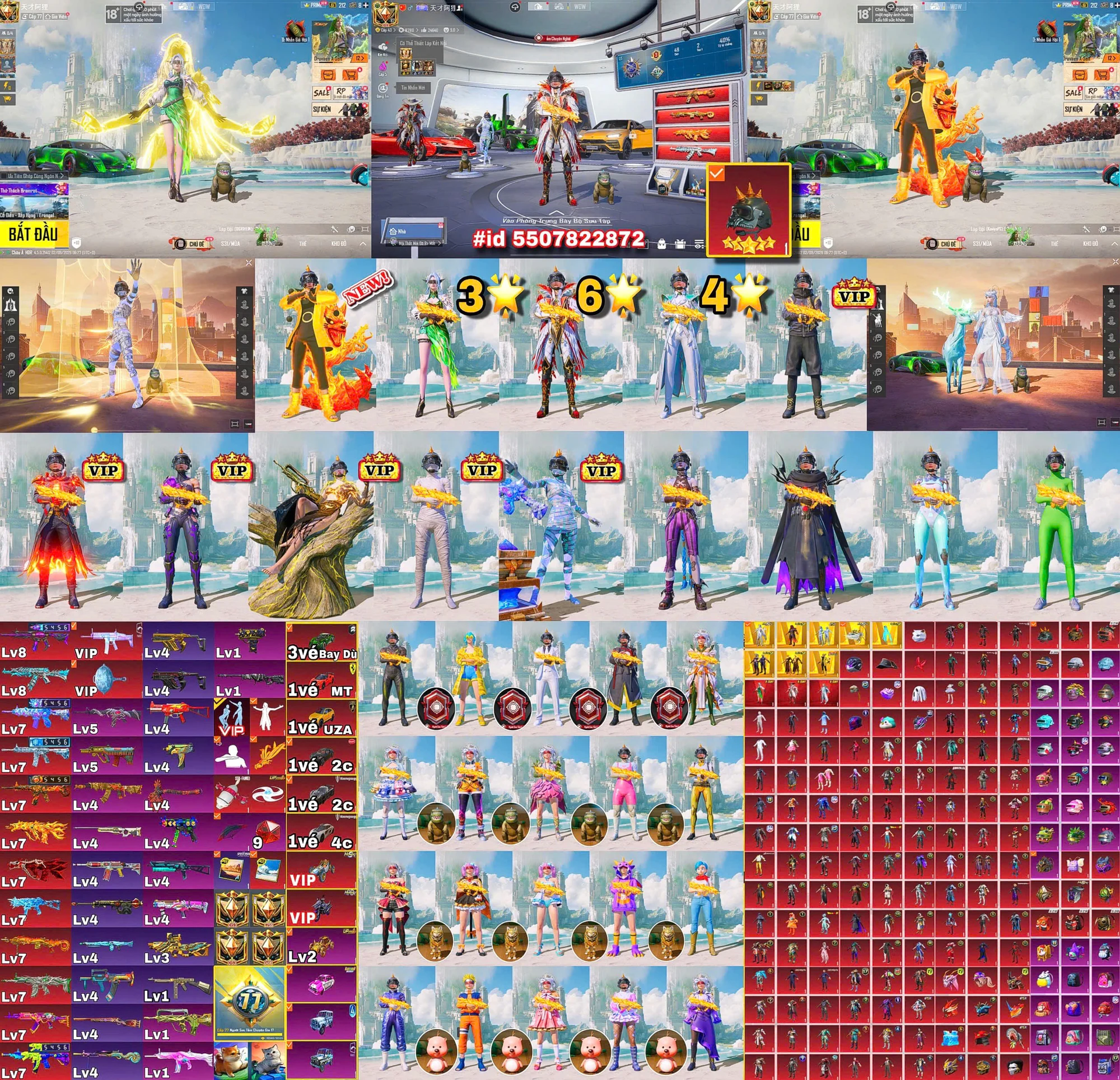 Ảnh tài khoản mã 226